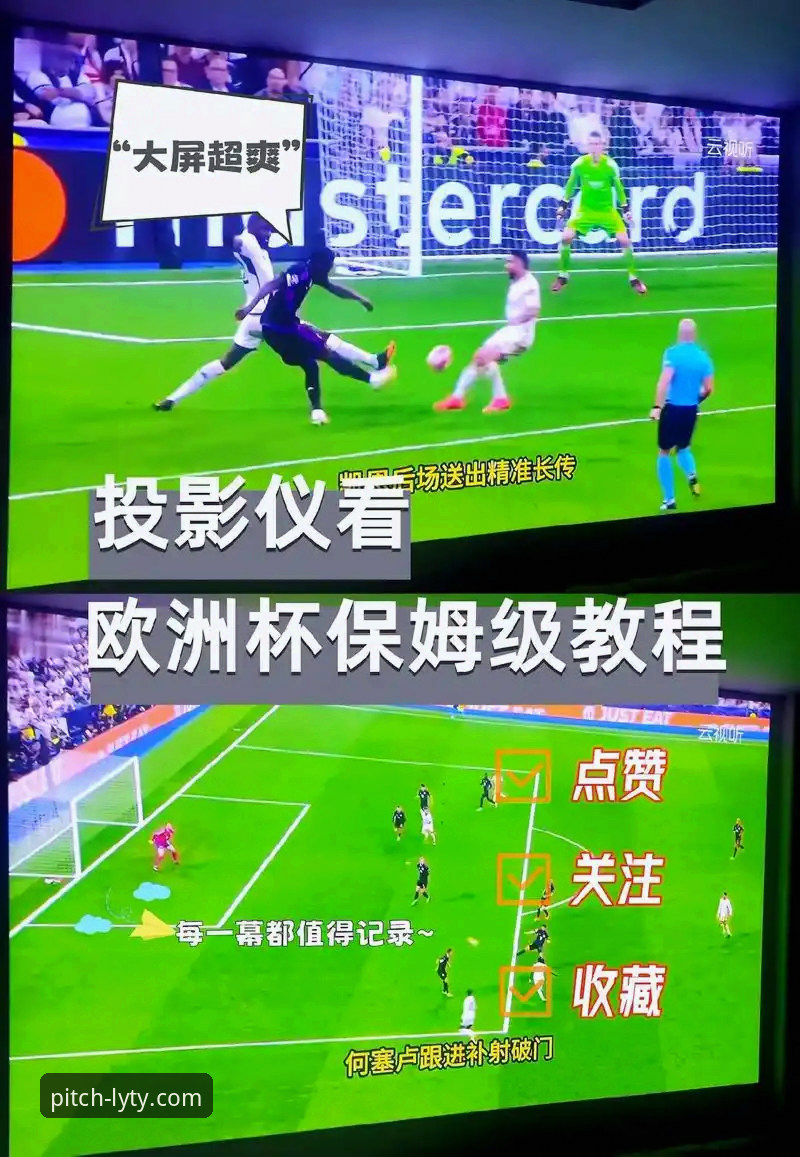 绿茵体育平台如何成为观看欧洲杯直播的优选？